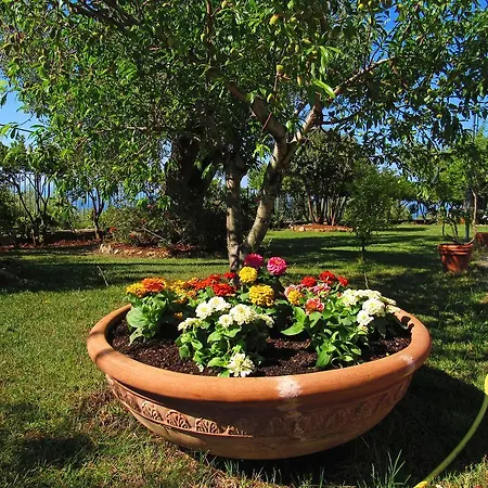 Relais Pian Delle Starze 4* Marina di Camerota